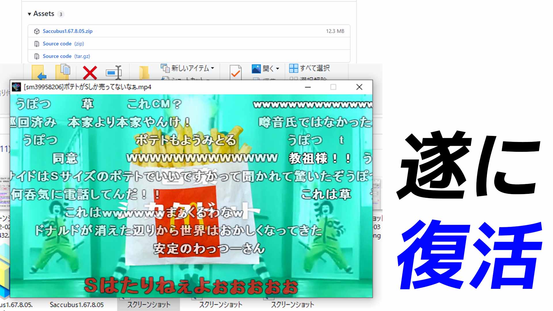 【2022年更新】ニコニコ動画保存ツール「さきゅばす」が復活！使用法を紹介