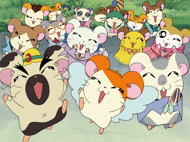 とっとこハム太郎〜♪でお馴染み人気シリーズが放送25周年!平成を代表するアニメの無料配信が決定