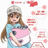 神奈川県、漫画『はたらく細胞』コラボで再生・細胞医療を啓発　薬物乱用に続く取り組みに