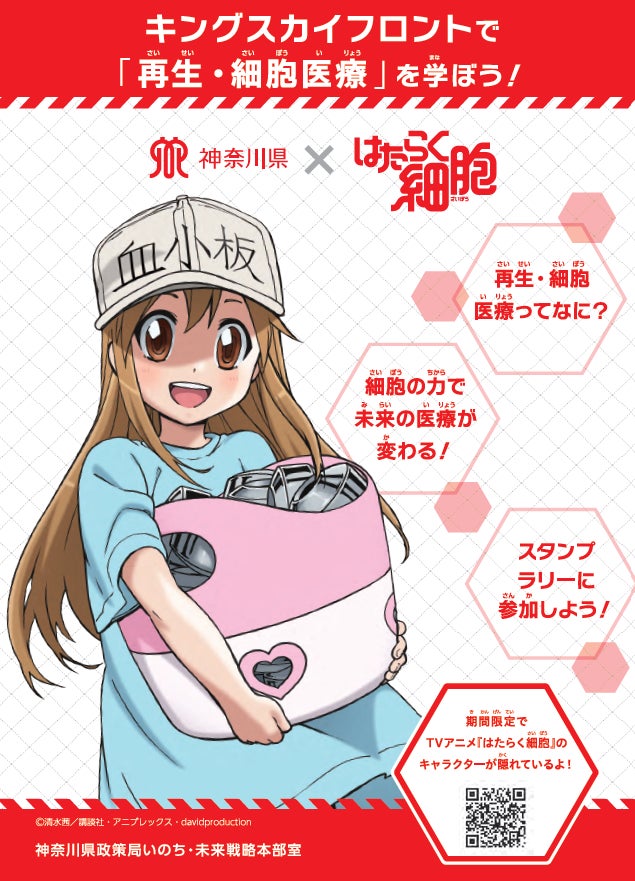 神奈川県、漫画『はたらく細胞』コラボで再生・細胞医療を啓発　薬物乱用に続く取り組みに