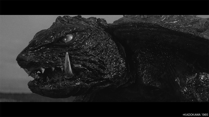 「ガメラ」60周年、4K修復の現場に迫る特番放送！監督や子役出演者が当時を語る